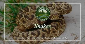 Parks & Recreation "Snakes” Program