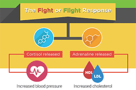 Can Stress Impact Your Cholesterol Hello Heart