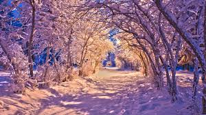 Your winter stock images are ready. Winter Wallpapers Top Free Winter Backgrounds Wallpaperaccess