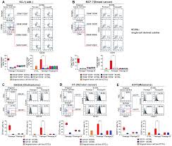 It was first developed to detect colon cancer, but has been found to also be sensitive for pancreatic cancer. Plos One Tumor Cells Positive And Negative For The Common Cancer Stem Cell Markers Are Capable Of Initiating Tumor Growth And Generating Both Progenies