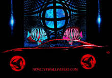 What makes a good wallpaper gif? Download Gif Wallpapers For Mobile Gifs Tenor