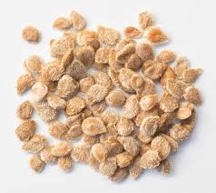 Image result for Blepharis burundiensis