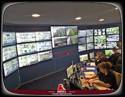 Entitalii sau o alta persoana de conducere cu autoritate, delegatd de acesta $i. Bidepa Servicii Profesionale De Protectie Paza Si Monitorizare