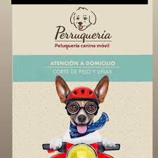 Doris Carcamo (@dorisi1) • Instagram photos and videos