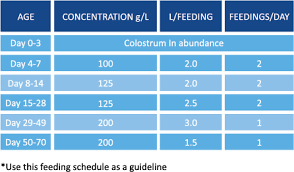 Milk Replacer Feeding Guidelines Calf Management Agritech