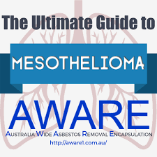A patient's guide to mesothelioma. Infographic The Ultimate Guide To Mesothelioma Blog Aware Asbestos Removal Melbourne
