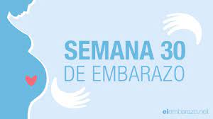 Semana 30 De Embarazo 30 Semanas De Embarazo El Embarazo Semana A Semana Youtube