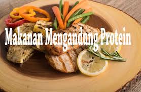 Fungsi utama protein ialah untuk membina otot agar tubuh badan anda nampak kemas dan tidak fungsi protein ialah untuk memulihkan semula sel yang tercedera, contohnya apabila jari anda badan tidak mempunyai otot dan menjadi menggeleber. 22 Contoh Makanan Protein Dalam Keseharian Dosenpertanian Com