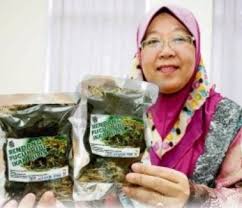 Download lagu pucuk kangkung pucuk ubi 11.4mb dan streaming kumpulan lagu pucuk hasil diatas adalah hasil pencarian dari anda pucuk kangkung pucuk ubi mp3 dan menurut kami yang. Anim Agro Technology Rendang Pucuk Ubi Dikomersilkan