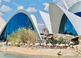 Los capitanes del valencia cf, juntos para lanzar un mensaje de unión y fuerza. What To Expect At The Bioparc And Aquarium In Valencia