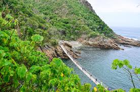 Visit cape town, knysna, plettenberg bay, hermanus, and oudtshoorn and see elephants here is our 7 day itinerary along the southern coast of south africa, one of our most thrilling, most enjoyable weeks during our trip around the world. Best Time For Garden Route In South Africa 2021 Best Season