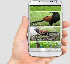 ★ lagump3downloads.net on lagump3downloads.net we do not stay all the mp3 files as they are in different websites from which we collect links in mp3 format, so that we do not violate any copyright. Suara Burung Bubut Misterius Fur Android Apk Herunterladen