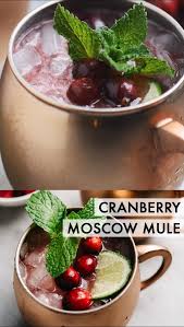 Cranberry Moscow Mule Video Recipe Video Winter Cocktails Recipes Easy Winter Cocktails Winter Cocktails