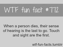 Death Facts More Of Wtf Fun Facts Are Coming Here Funny And Weird Facts Only Wtf Fun Facts Fun Facts Funny Facts