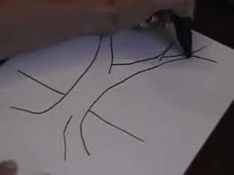 Intermediate Steps To Drawing A Simple Tree Tree Drawing Drawing Tutorials For Beginners Drawing Tutorial Easy