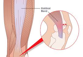 Numerous connecting ligaments are used to improve stability, strength, and to hold the joint in figure 1. Reasons For Pain Behind In Back Of The Knee