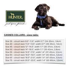 (1 lb =.45 kg) dog collar should be snug enough to fit two fingers between the dog's neck & their collar. Buy Hunter Ht63307 Cannes Leather Collar One Size Online At Low Prices In India Amazon In