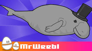 With its voluptuous body, fluked tail and shy temperament, it's easy to imagine the dugong inspiring the mermaid legend. Dugong Animated Music Video Mrweebl Youtube