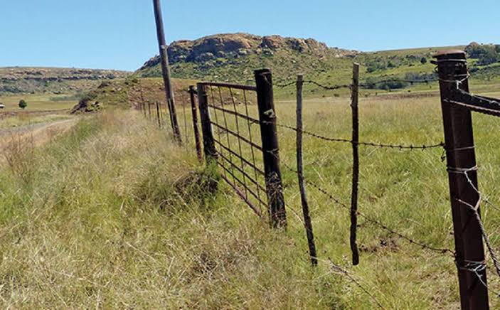 Plaasaanvalle styg in die derde kwartaal met 21% | Pretoria FM