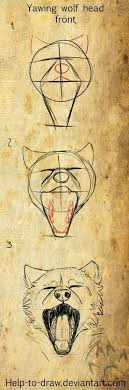 Fallen Zeichnungentiere Artdrawingwolf Fallen Zeichnungentiere In 2020 Drawings Sketches Animal Drawings