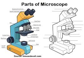 Microscope Laboratory Microscopic Best Microscope Chemistry Lessons