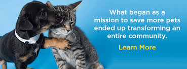 Please read how to adopt for information about fees and what to bring with you to the shelter. Arizona Humane Society Reviews And Ratings Phoenix Az Donate Volunteer Review Greatnonprofits