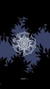 Download wallpaper hitam bunga hd cikimm. 42 Ide Motivasi Belajar Hemat Terbaik Motivasi Belajar Motivasi Belajar