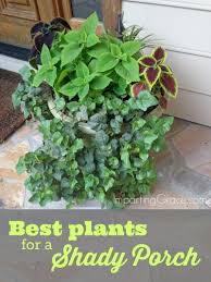 Best Plants For A Shady Porch Porch Plants Front Porch Plants Porch Flowers