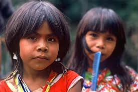 Children of the Amazon (2008)