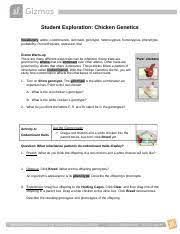 Each lesson includes a student exploration sheet, an exploration sheet page 1/3. Chicken Genetics Gizmo 1 Student Exploration Chicken Genetics Vocabulary Allele Codominance Dominant Genotype Heterozygous Homozygous Phenotype Course Hero