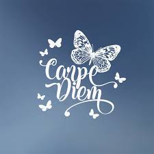 Wall Tattoo Carpe Diem Butterflies Wall Sticker Mural Ws31a Tattoo Carpe Diem Wall Tattoo Carpe Diem