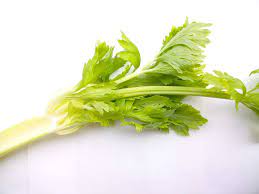 Everybody needs his or her pet to be healthy. Can Dogs Eat Celery Is It Good For Dogs
