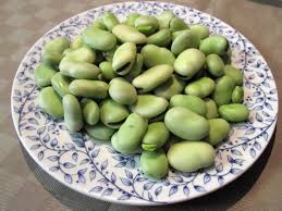 Image result for Vicia faba