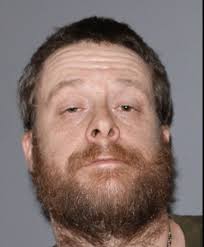 Oneonta man caught with 406 grams of meth, several other narcotics