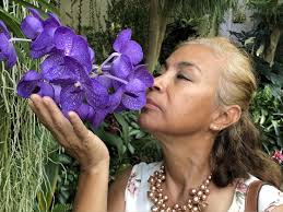 Irma Fernandez Arredondo's Obituary