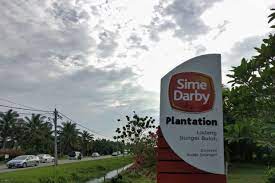 4197) is a malaysian trading conglomerate. Sime Darby Plantation Considers Exiting West Africa Palm Oil Ops The Star