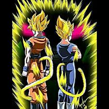 Super Saiyan Goku And Vegeta With Tails Bilder