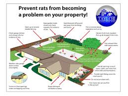 Placing a rat in a container and putting it in the freezer may seem more when storing pet (or human) food in sheds, garages or basements sturdy plastic, glass and metal. Rat And Rodent Prevention Taylor Mi