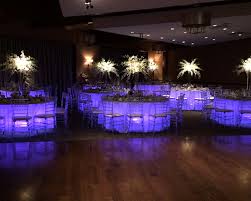 Wedding Event Lighting Michigan Affordable Party Lighting