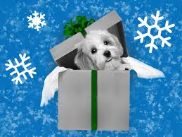 Learn how kong box toys encourage play while reinforcing positive behaviors. 10 Seasonal Phishing Scams To Watch Out For And How To Protect Yourself Against Them