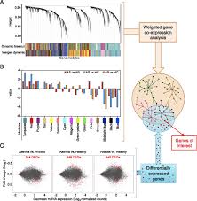 Asthma inhaler colors chart www bedowntowndaytona com. Transcriptional Profiling Of Th2 Cells Identifies Pathogenic Features Associated With Asthma The Journal Of Immunology