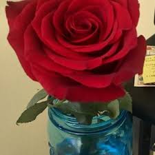 I have an eye for the details and provides high quality unmatched creativity. Riley S Flowers 55 Photos 97 Reviews Florists 1106 Chapala St Santa Barbara Ca Phone Number Products Yelp