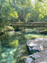 About kelly park rock springs. Tips For Kelly Park Rock Springs The Perfect Florida Oasis Florida Trippers In 2021 Kelly Park Rock Springs Kelly Park Rock Springs