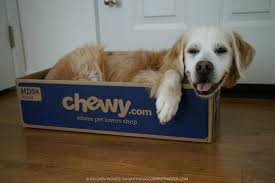 This litter box receives praise for its beautiful and minimalist design. Chewy Com Delivers Pet Happiness Chewyinfluencer