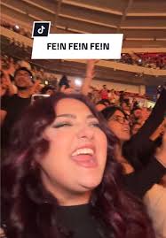 What Does Fein Fein Fein Mean