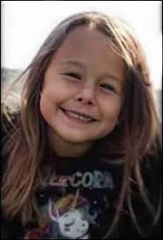 Dogs killed 66 Americans & three Canadians in 2022; pit bulls killed 44