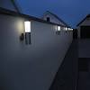 Disk lights provide perfect lighting for your courtyard, gardens, sidewalks, lawns and corridors, etc., to add a beautiful scene for the night view of the night. Https Encrypted Tbn0 Gstatic Com Images Q Tbn And9gct0jq2bf6ikdhfoli Ewxhr537jx0xcflw Arg Sbi Usqp Cau