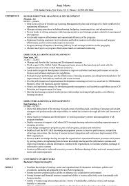 Director Learning Development Resume Samples Velvet Jobs