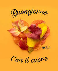Quando ti senti romantico e desideri esprimere il tuo amore, queste sono le foto migliori. Buongiorno Con Il Cuore Buongiorno Citazioni Buongiorno Buongiorno Immagini