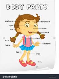 One game is with a picture where you need to label the different parts of the body (parts of the body picture game). Body Parts Create Webquest
